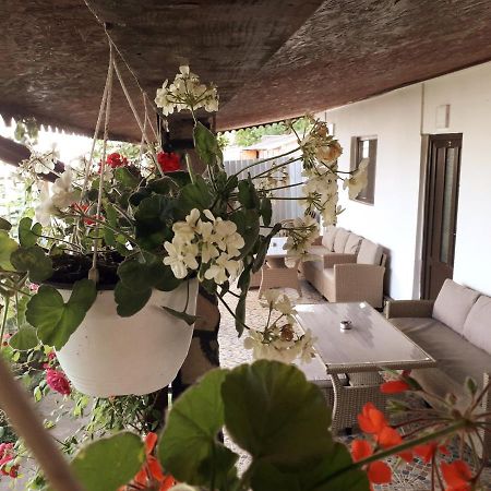 Hostal Casa Chitu Murighiol Exterior foto
