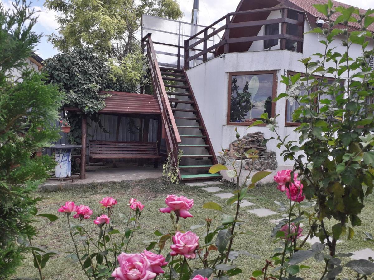 Hostal Casa Chitu Murighiol Exterior foto