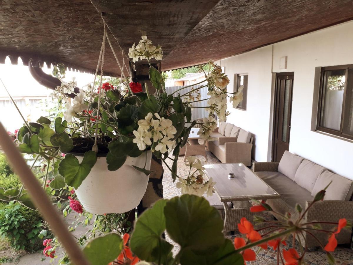 Hostal Casa Chitu Murighiol Exterior foto