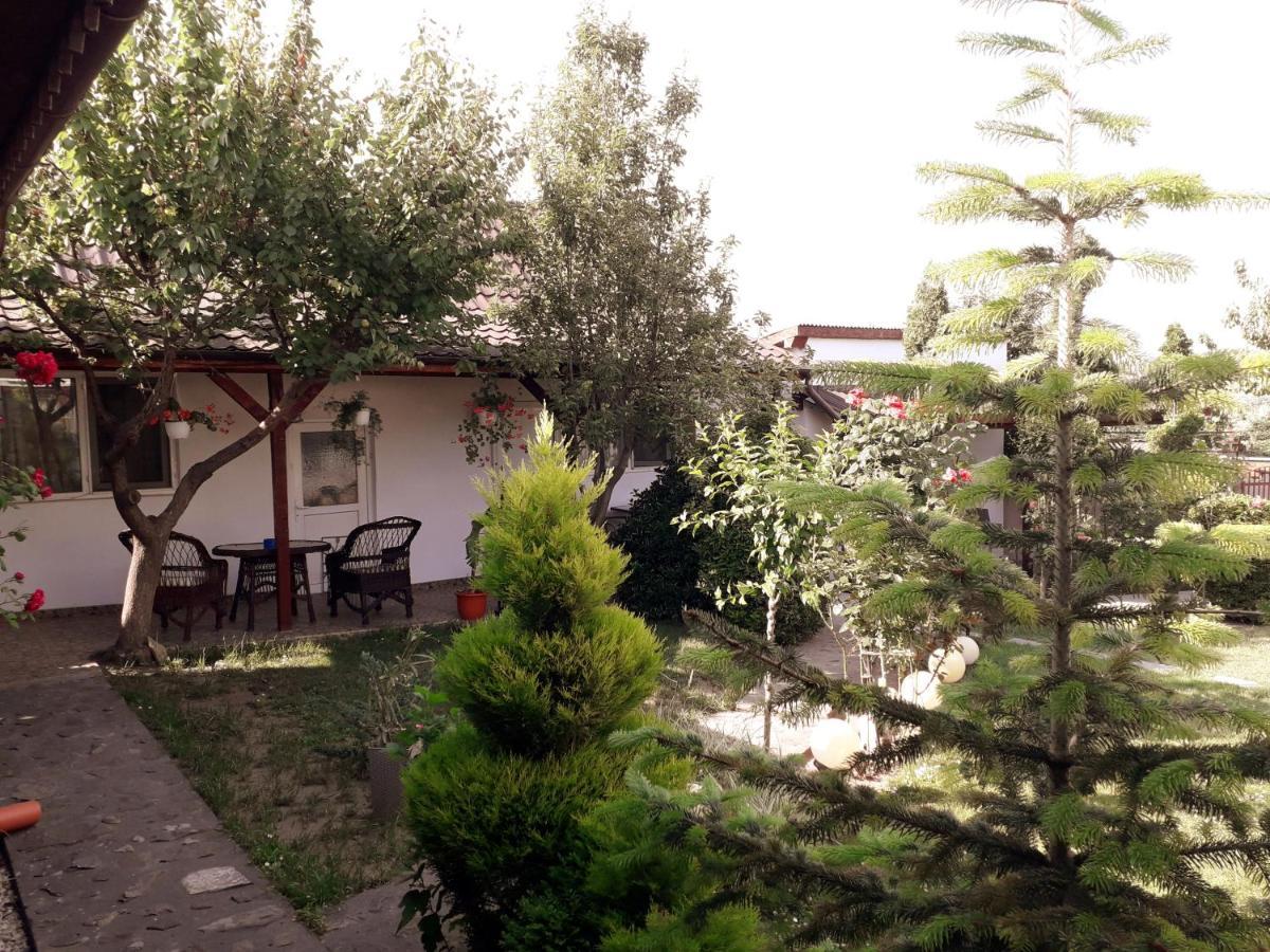 Hostal Casa Chitu Murighiol Exterior foto