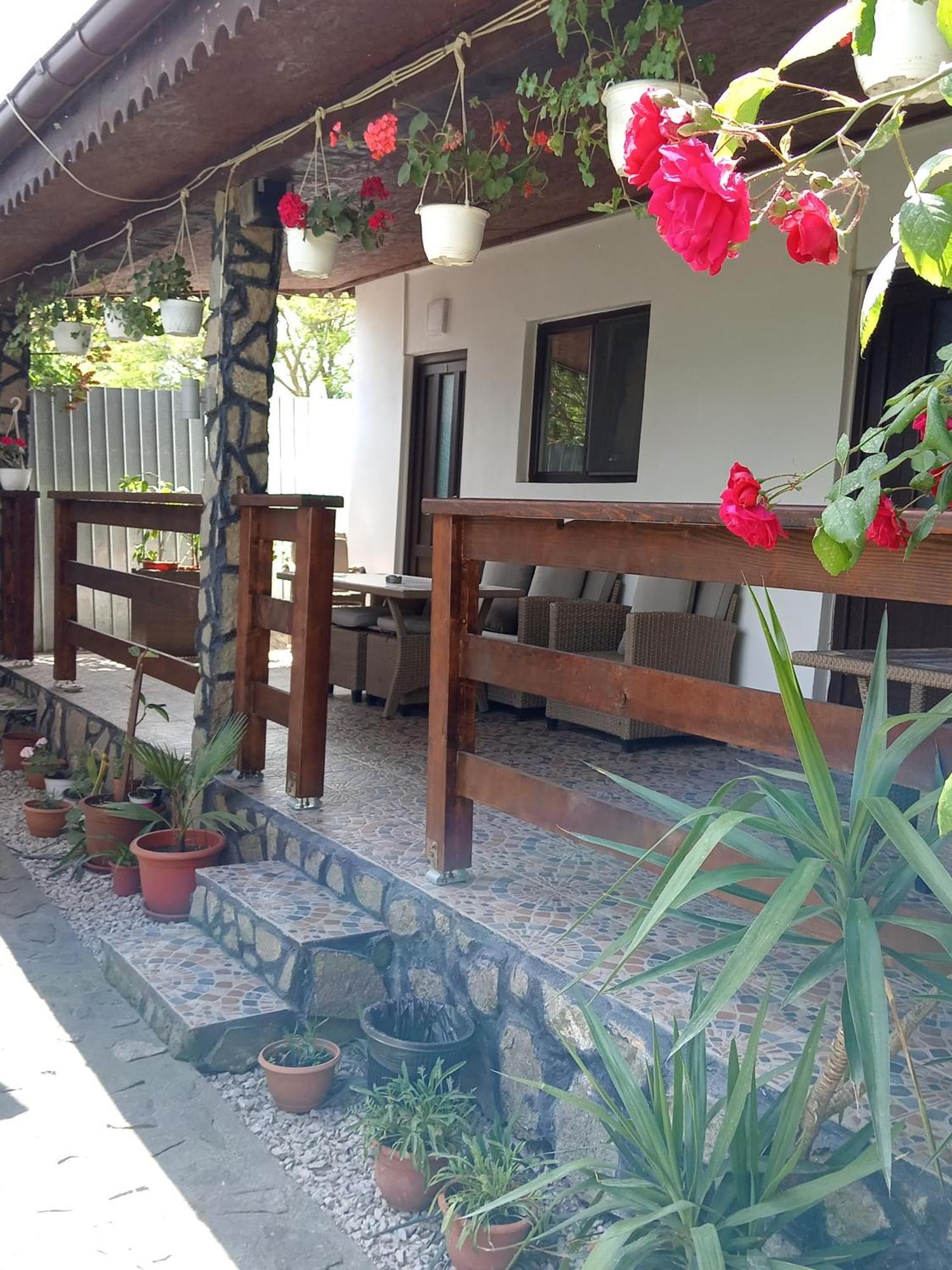 Hostal Casa Chitu Murighiol Exterior foto