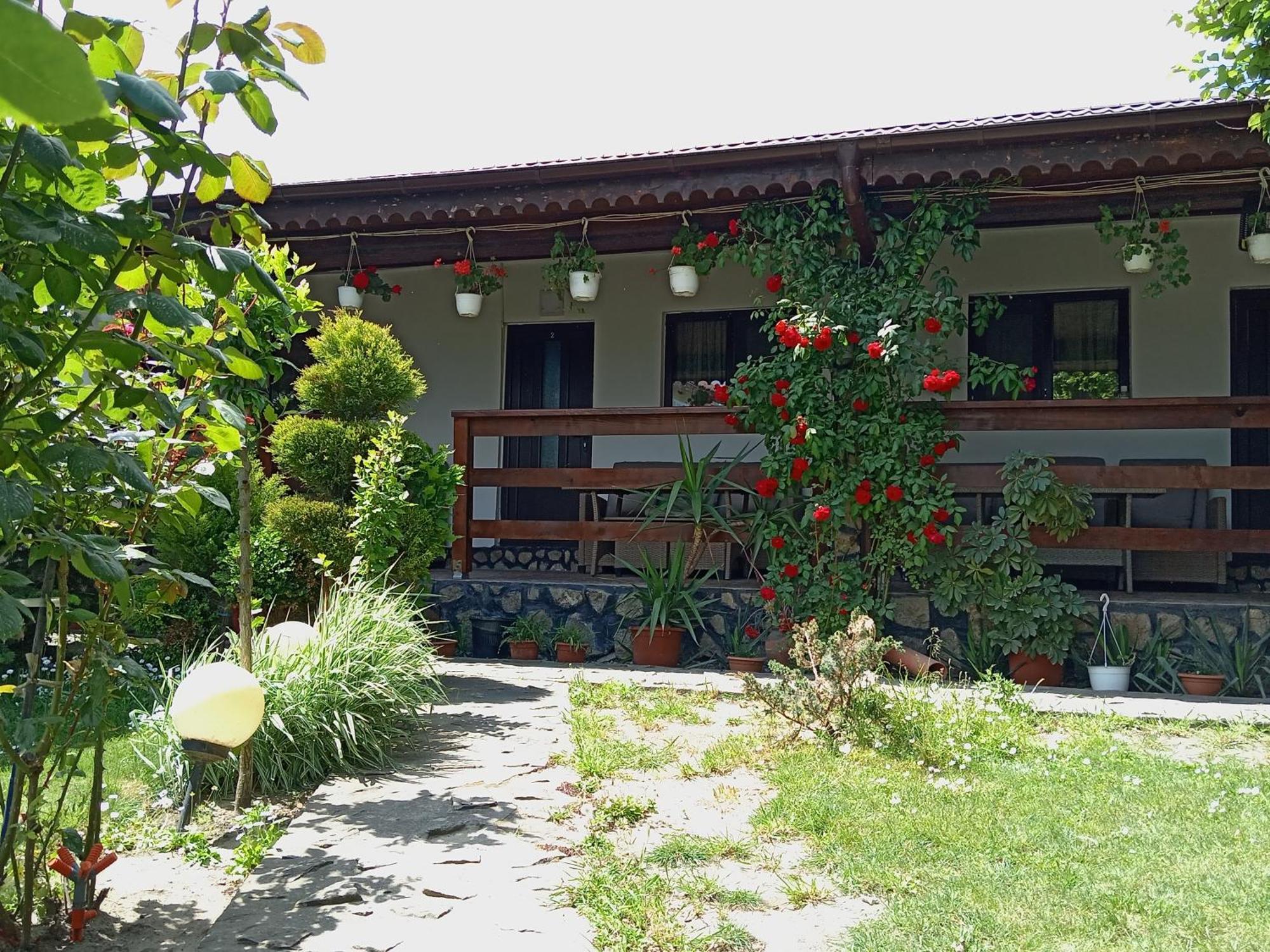 Hostal Casa Chitu Murighiol Exterior foto